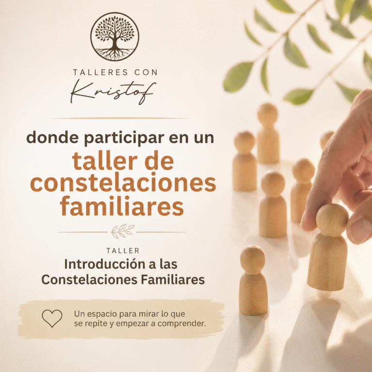 donde participar en un taller de constelaciones familiares