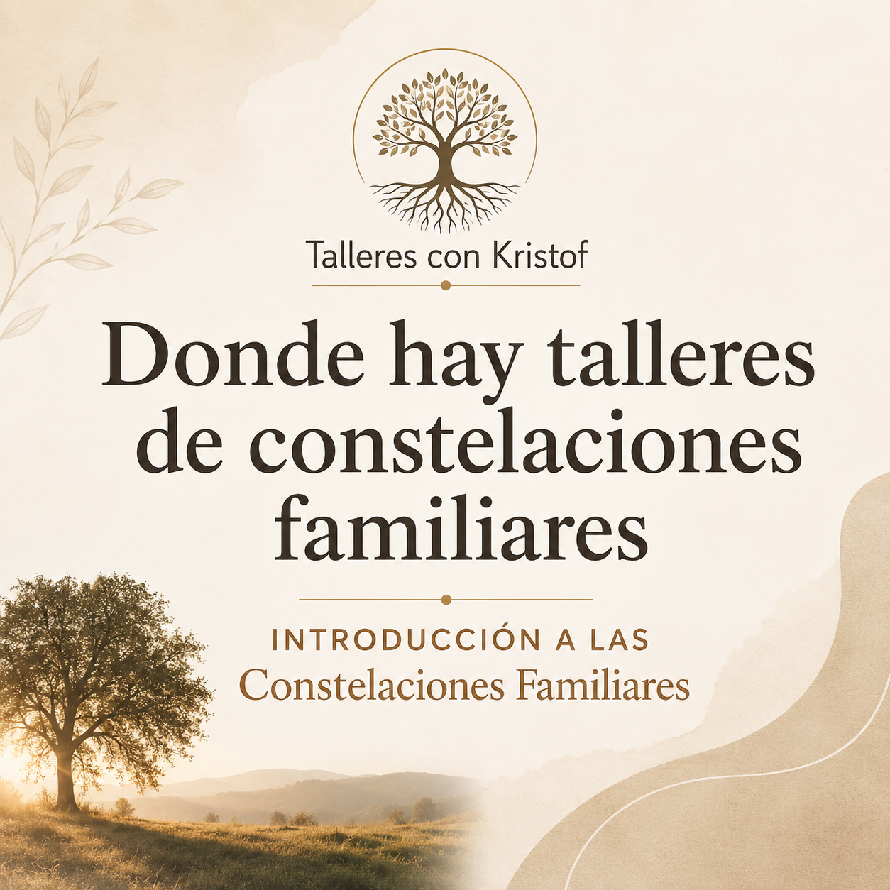 donde hay talleres de constelaciones familiares