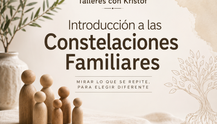 Introducción a las Constelaciones Familiares