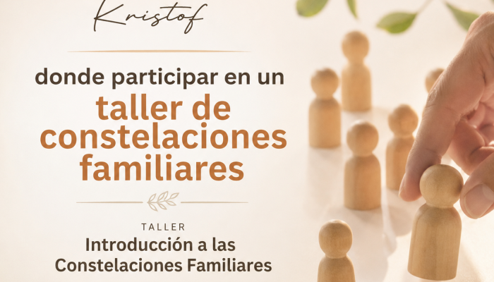 donde participar en un taller de constelaciones familiares